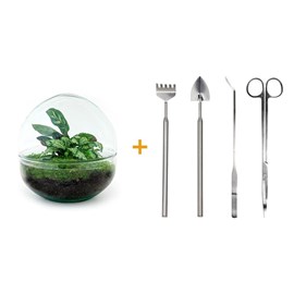 Kit terrarium diy - dome