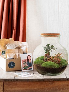 Kit terrarium diy - teddy