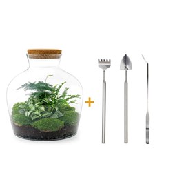 Kit terrarium diy - joy