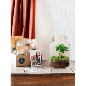 Kit terrarium diy - oslo