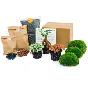 Kit rempotage plantes pour terrarium