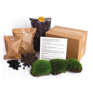 Kit rempotage plantes pour terrarium