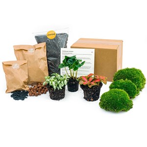 Kit rempotage plantes pour terrarium