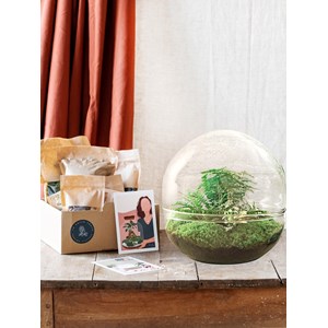 Kit terrarium diy - dome xl