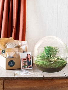 Kit terrarium diy - dome xl