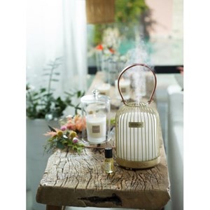 Diffuseur de voiture blanc coton