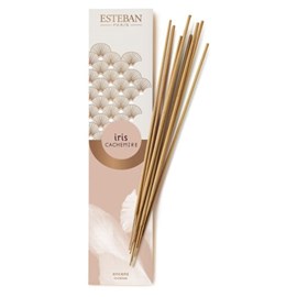 Encens indiens iris cachemire