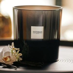 Recharge pour bougie 450g vanille d'or