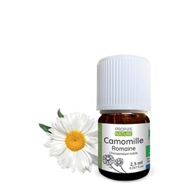Camomille romaine bio - huile essentiell