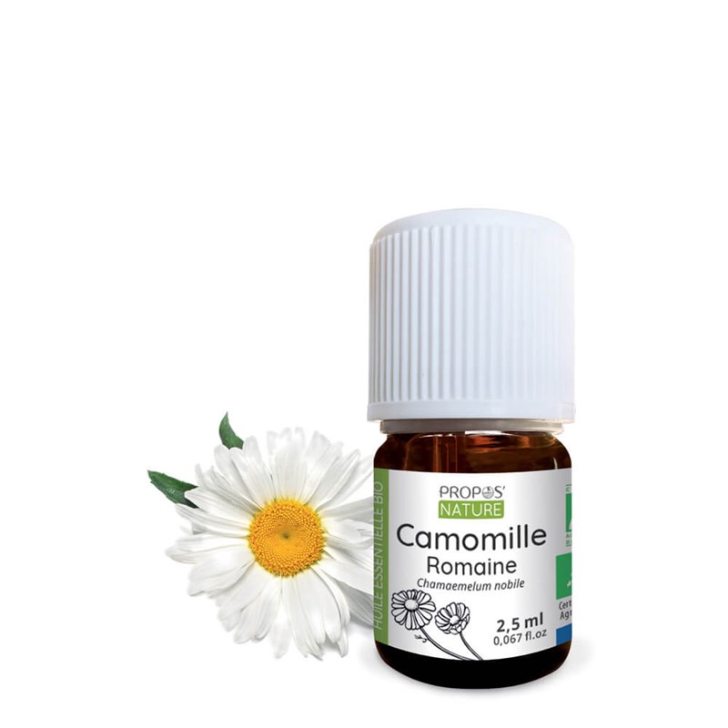 Camomille romaine bio - huile essentiell