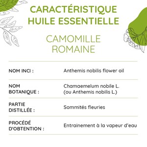 Camomille romaine bio - huile essentiell