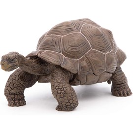 Figurine tortue des galapagos