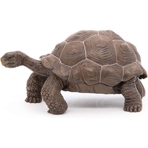 Figurine tortue des galapagos