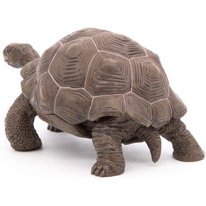 Figurine tortue des galapagos