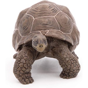 Figurine tortue des galapagos