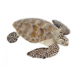 Figurine tortue caouanne