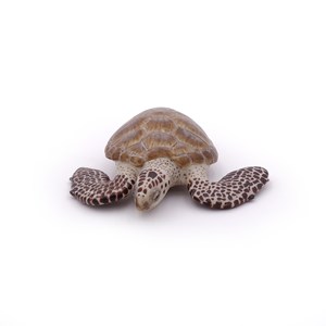 Figurine tortue caouanne