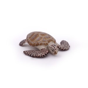 Figurine tortue caouanne