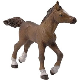 Figurine poulain anglo arabe