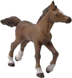 Figurine poulain anglo arabe