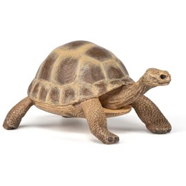 Figurine tortue d'hermann