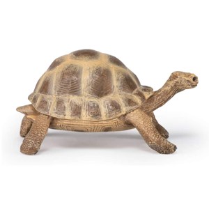 Figurine tortue d'hermann