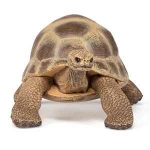 Figurine tortue d'hermann