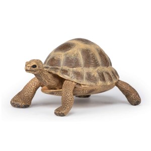 Figurine tortue d'hermann