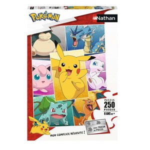 Puzzle types de pokémon 250 pcs