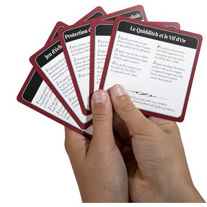 Harry potter quiz 500