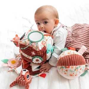 Cube d'activités mélimélos la biche