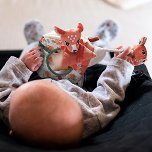 Cube d'activités mélimélos la biche