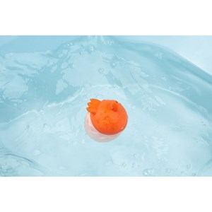 Gicleur de bain paulette