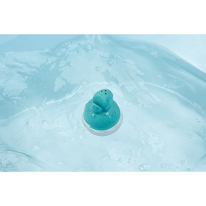 Gicleur de bain pablo