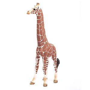 Figurine girafe femelle