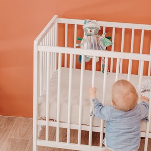 Miroir d'éveil chillos le paresseux