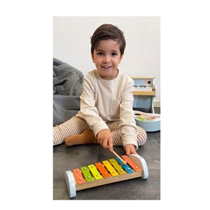 Xylophone groovy beats