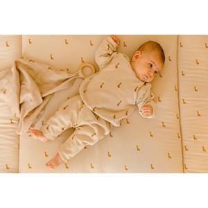 Tapis de jeu safari