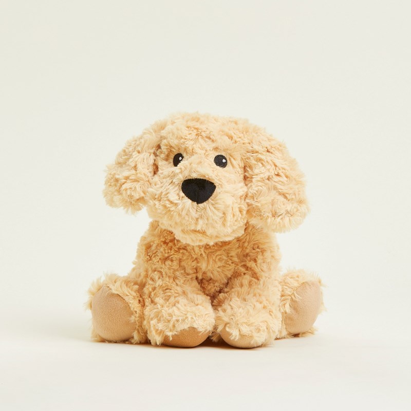 Peluche bouillotte chien boucle warmies