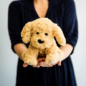 Peluche bouillotte chien boucle warmies