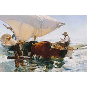 Retour de pêche de sorolla