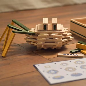 Coffret kapla l'araignée