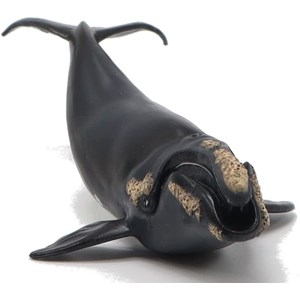 Figurine jeune baleine franche