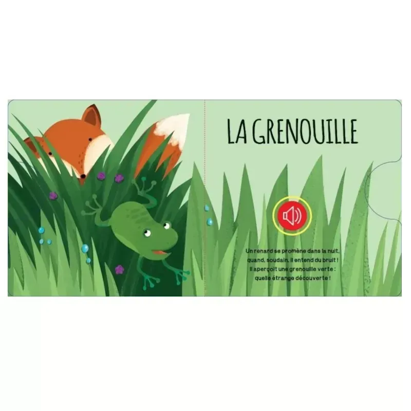 Livre sonore la forêt (Sassi Junior) - Image 1
