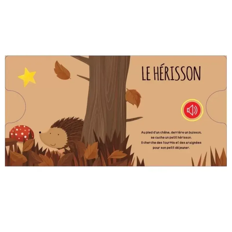 Livre sonore la forêt (Sassi Junior) - Image 2