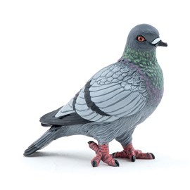 Figurine pigeon