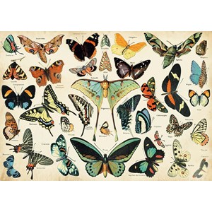 Papillons d'après millot