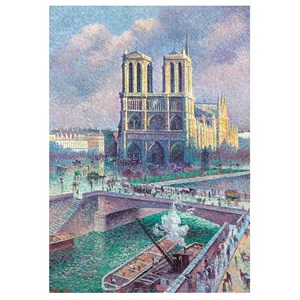 Notre-dame de paris de luce