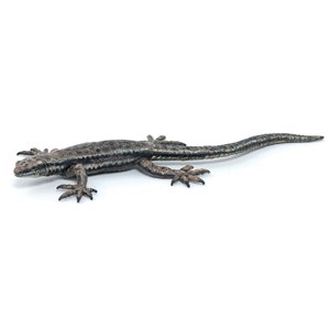 Figurine lézard commun
