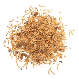 Mélange d'insectes séchés